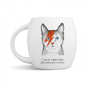 Kruus kingituseks Bowie "I am an instant star just add water and stir"